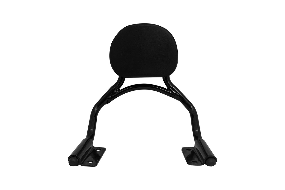 ZANA BACK REST FOR INTERCEPTOR & GT 650
